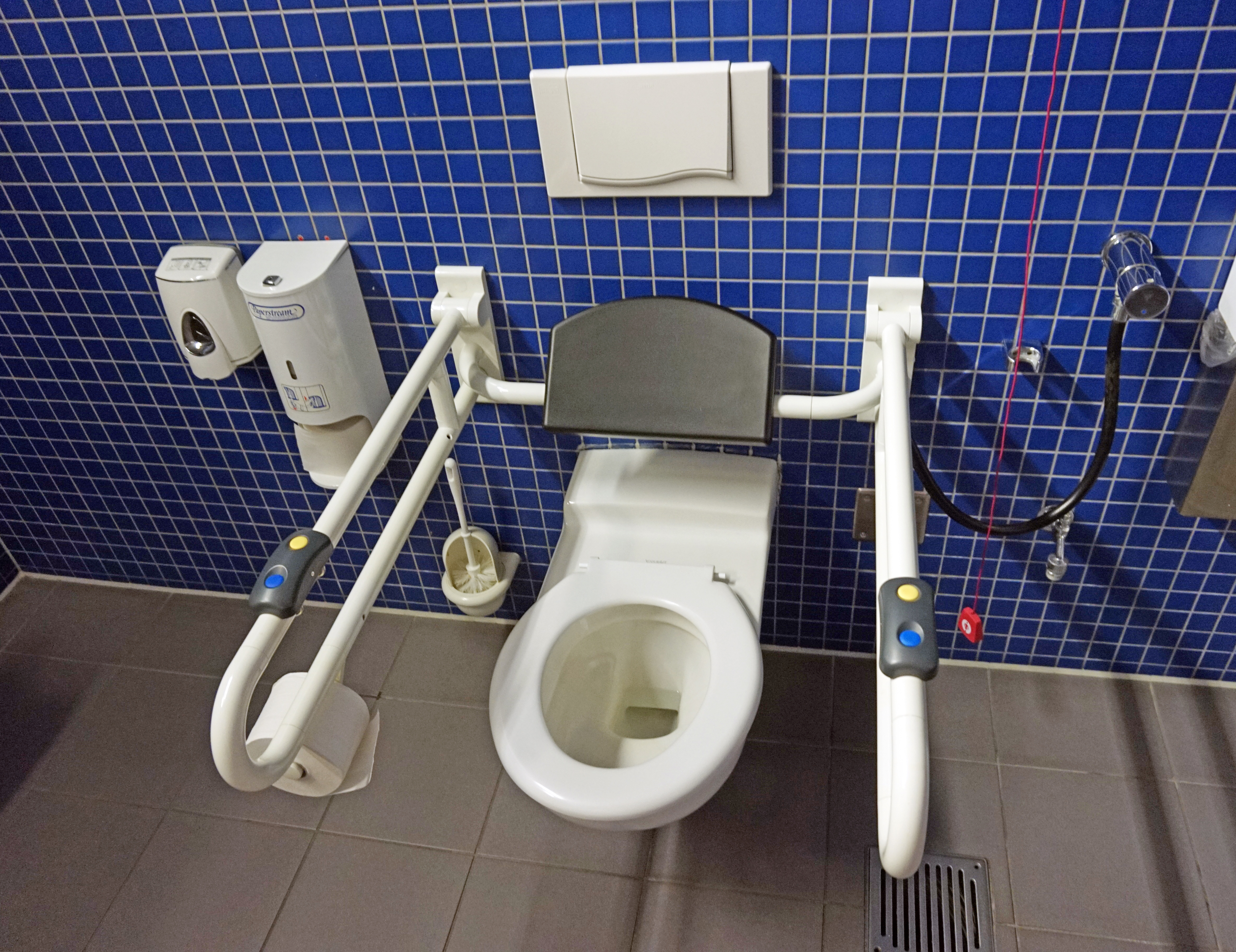 Accessible Public Toilet - Front view