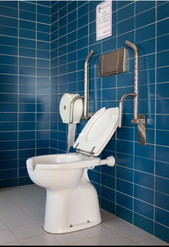 Accessible Public Toilet - Side view